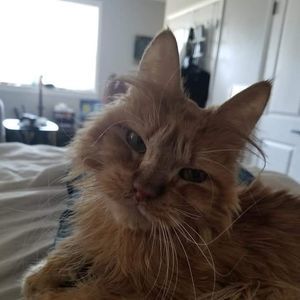 Meet your Posher, Mary